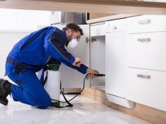 Các biện pháp và dịch vụ khử khuẩn cho cửa hàng hoạt động trở lại sau giãn cách