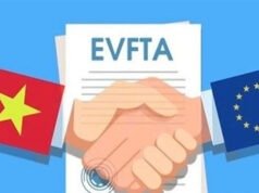 Chỉ định các cơ quan đầu mối để triển khai hiệp định EVFTA