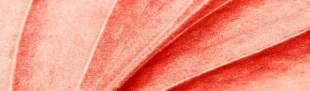AdobeStock_251161412