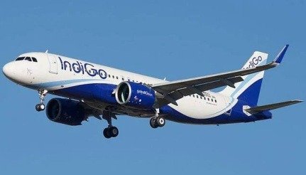 indigo1-1