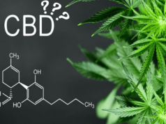 Lệnh cấm CBD:Giải pháp tự nhiên hay nguy cơ tiềm ẩn cho sức khỏe ngành công nghiệp?