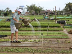 Việt Nam vào top 5 điểm đến mùa hè được du khách châu Âu tìm kiếm nhiều nhất năm 2025